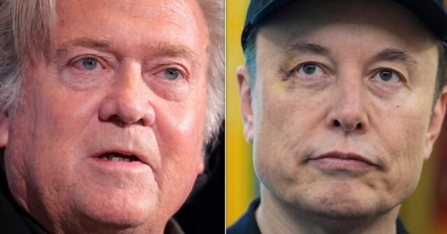 Steve Bannon llama a Elon Musk "problema de seguridad nacional"
