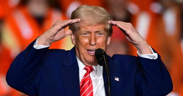 Trump aborda el supuesto consumo de drogas de Elon Musk después del informe de Bombshell New York Times
