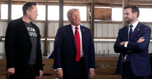 Vance dice que los ataques de Musk contra Trump fueron un "gran error", pero trata de minimizar la escupida
