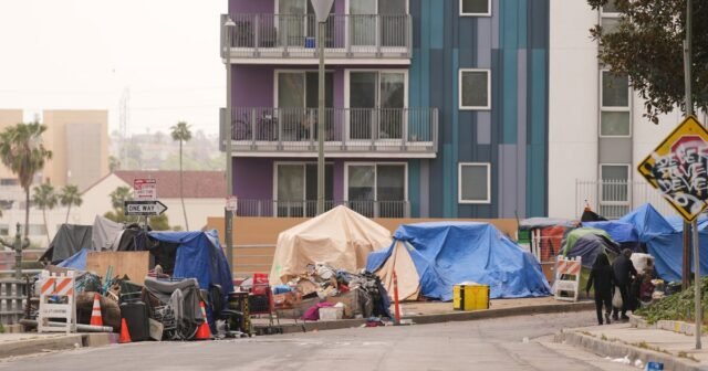 Demócratas, los defensores critican la orden ejecutiva de Trump sobre la falta de vivienda
