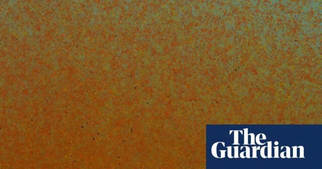 'Digestan externamente': el artista que crea pinturas con moscas en vivo | Arte
