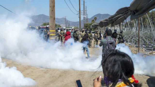 El caos estalla durante la redada de inmigración en la 'granja de cannabis más grande del mundo' (videos) - RT World News
