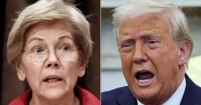 Elizabeth Warren golpea a Trump como 'aspirante a rey'
