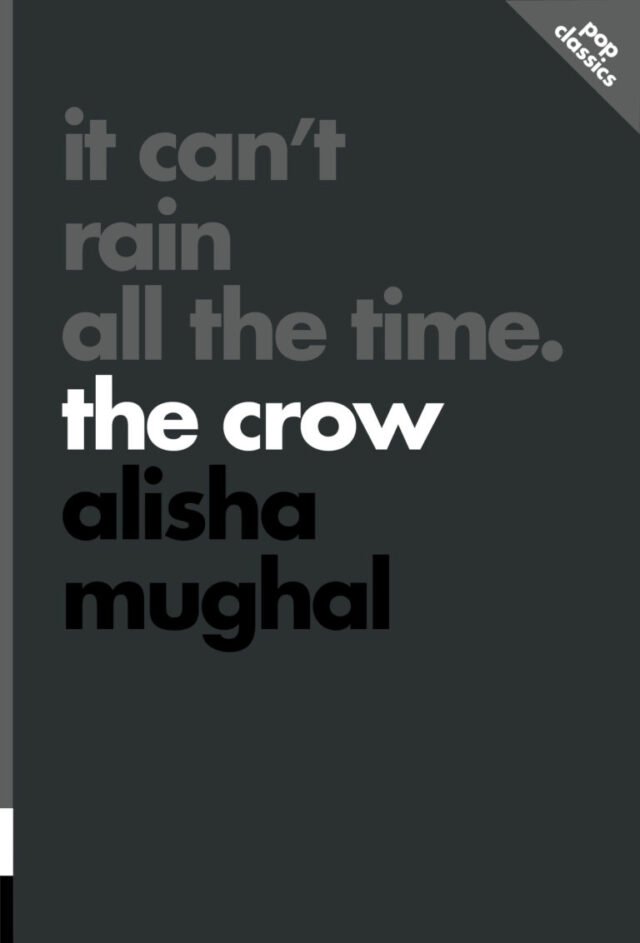 Extracto de libros: no puede llover todo el tiempo de Alisha Mughal | Características
