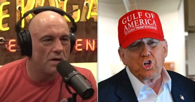 Joe Rogan critica las redadas de hielo "locas" de Trump
