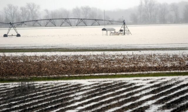 La administración Trump se mueve para prohibir la propiedad de las tierras de cultivo extranjeras
