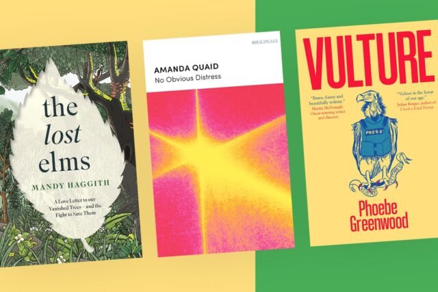 Libros del mes: Qué leer este julio, desde una sátira oscura en el periodismo de guerra hasta una memoria contada en verso
