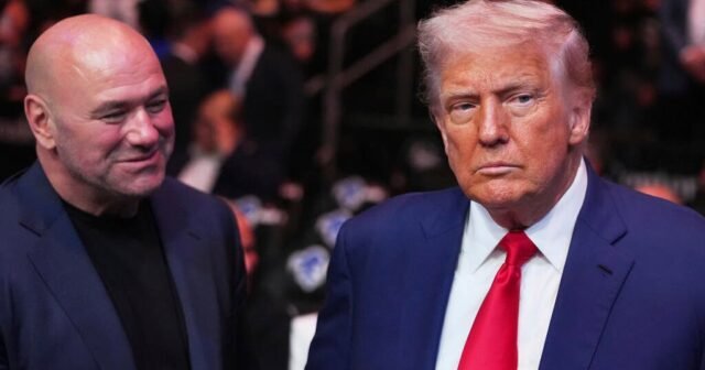 Trump dice que organizará una pelea de UFC en terrenos de la Casa Blanca el próximo año
