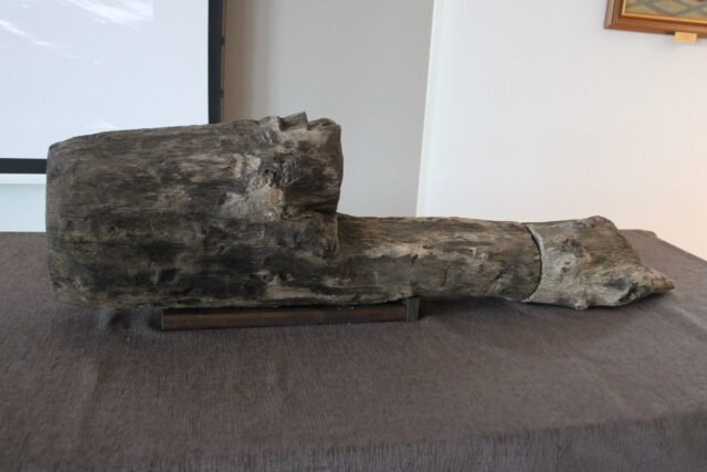 Único 10 c. Timber con tallado de cara encontrado en Polonia - The History Blog
