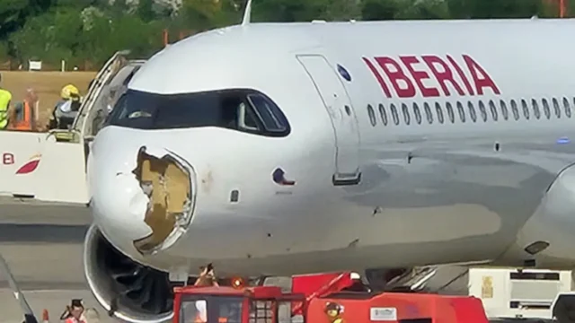 Bird Strike obliga al avión de Iberia a realizar un aterrizaje de emergencia solo unos minutos después de despegar de Madrid
