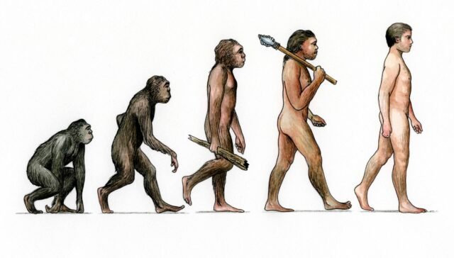 Footloose: humanos modernos que siguen los pasos de los neandertales en la playa española
