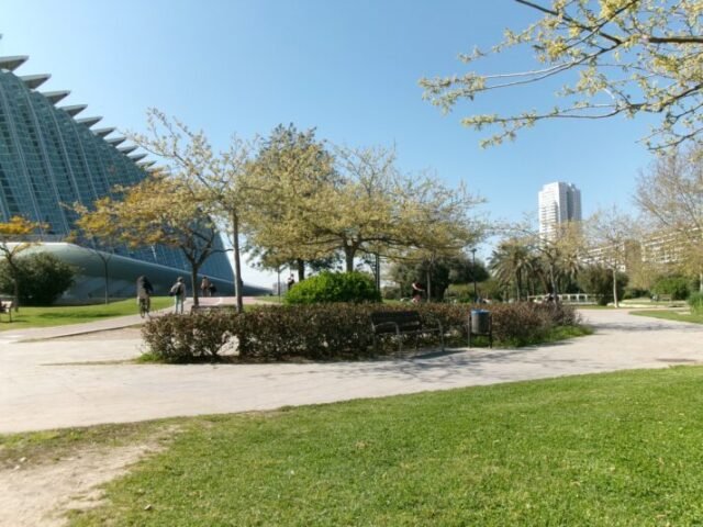 Valencia's Turia Gardens (informe fotográfico exclusivo) • Valencia 24/7
